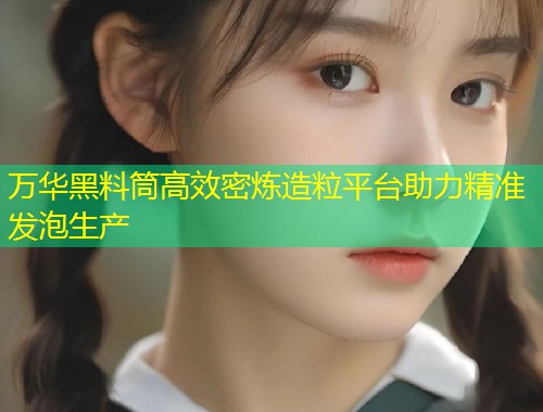 万华黑料筒高效密炼造粒平台助力精准发泡生产  第1张
